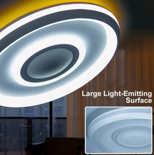 Ceiling Light with Remote Control & Wireless Speaker