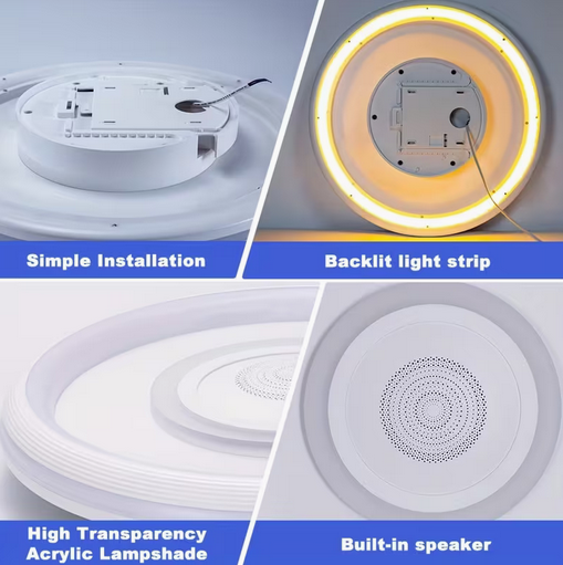 Ceiling Light with Remote Control & Wireless Speaker