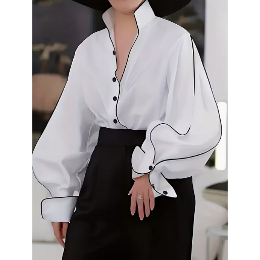 Elegant V-Neck Long Sleeve Blouse