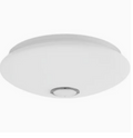 LED Ceiling Fitting Light with Opal Cover and Speaker