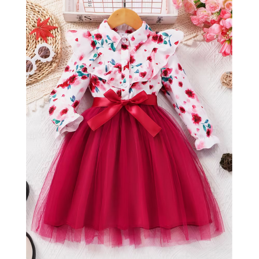 Long-Sleeve Floral Print Mesh Dress with a Collar