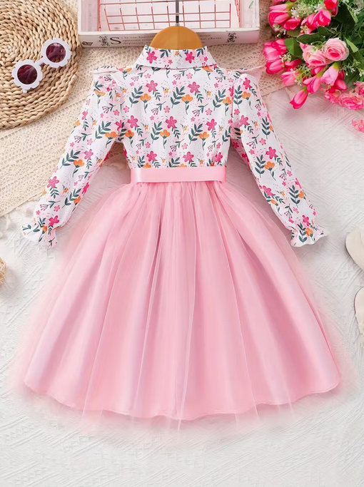 Long-Sleeve Floral Print Mesh Dress with a Collar